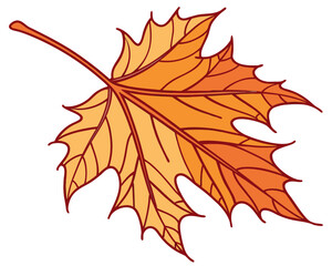Illustration of a single orange maple leaf