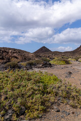 Fuerteventura Canary island, volcano in Isla de Lobos