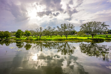 Reflections of Trees on the Water at Venetian Gardens, Leesburg, Florida