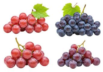 Fototapeta premium Four fresh red and deep purple grape clusters with green leaves, slender stems, glistening water droplets, isolated on transparent with copy space, still life food. Concept of natural freshness