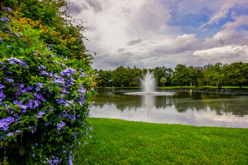 Lush Gardens and Fountain at Veterans Memorial Park, Leesburg, Florida