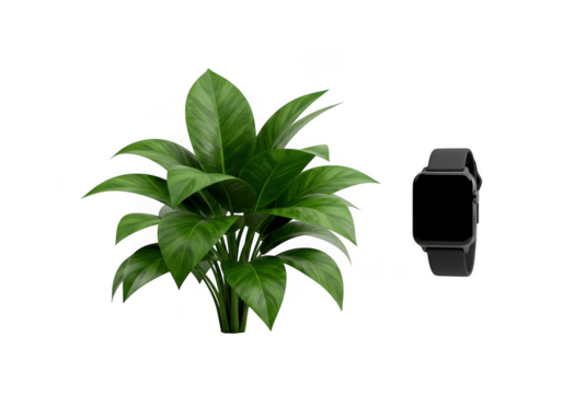 Vibrant green leafy plant next to a modern black smartwatch isolated on transparent background