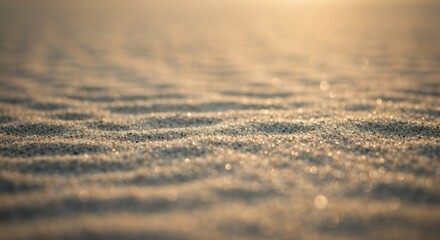 Close-up of fine sand, golden light