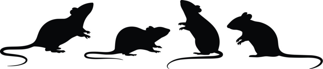 Rat and mouse silhouettes in various poses, black vector icons, rodent illustration, animal shapes, long tail, standing, walking, sitting, isolated design, stock art