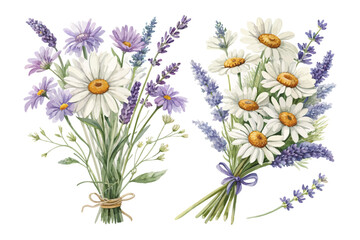 Fototapeta premium Watercolor Daisy and Lavender Bouquet Clipart vector illustration