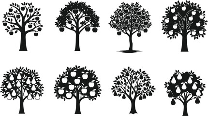 Fruit tree silhouette, apple pear trees, botanical design, black vector, orchard illustration, stylized foliage, nature graphic, horticulture art, garden element
