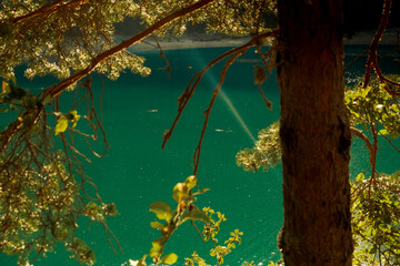View through forest branches of a tree overlooking a turquoise lake with sunlight reflections shimmering on the calm water surface