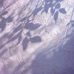 soft pastel lavender wall with textured surface and gentle leaf shadows pattern in sunlight. minimal and calming background with organic texture. self-care, spa design, wellness branding, storytelling