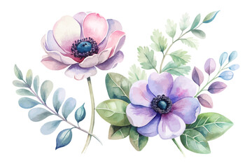 Watercolor Anemone and Eucalyptus Branch Design vector illustration