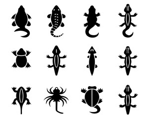 Set of 16 reptile and amphibian silhouette icons vector illustration scalable eps vector
