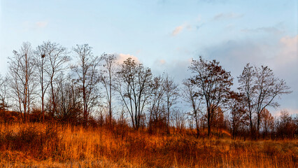 A picturesque hill in autumn