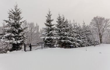 Winter white garden with entrance gate