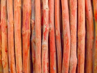 Dry wood for room decoration 