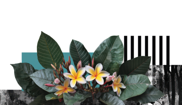 Collage Art Vibrant Floral Decoration with Green Leaves and Design Isolate on Transparent Background, png