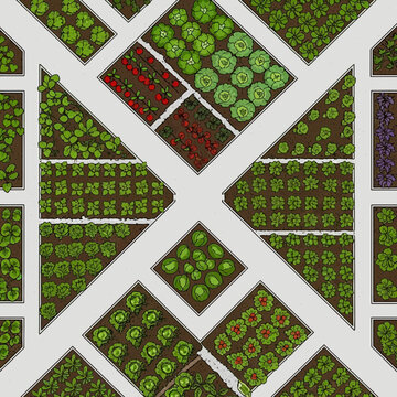 Overhead view of a garden with various vegetables and fruits planted in beds.
