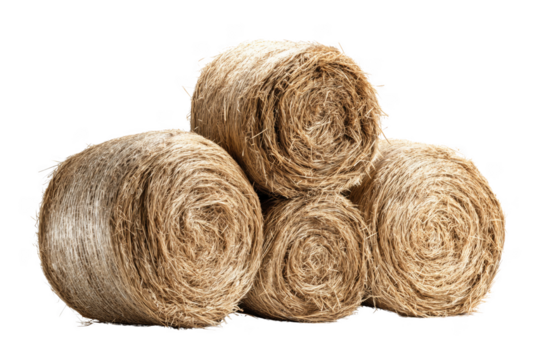 Stack of five round straw bales with visible texture isolated on a transparent background image - Powered by Adobe