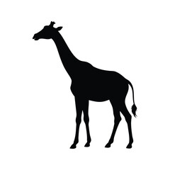 Silhouette of a majestic giraffe standing against a stark white background., giraffe profile view silhouette vector illustration