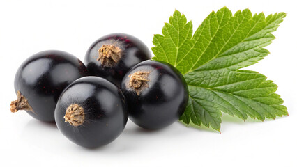 Fresh Currants with leaves isolated in white background