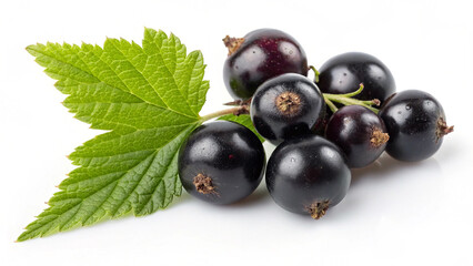 Fresh Currant with leaves isolated in white background