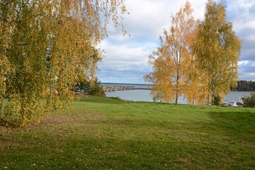 autumn in the park