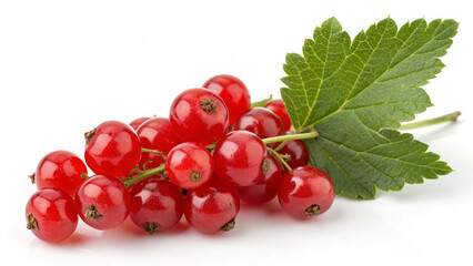 Red Currant with leaves isolated in white background