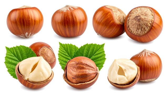 Several hazelnuts are displayed, some whole and others partially opened, with green leaves on a white background. The nuts are fresh and brown, showcasing their texture