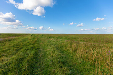 Expansive green landscape with a clear blue sky and gentle clouds in a rural area during daytime