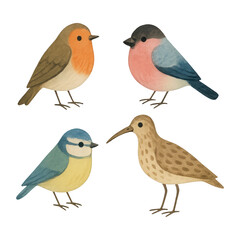 Fototapeta premium PNG Charming watercolor birds illustration
