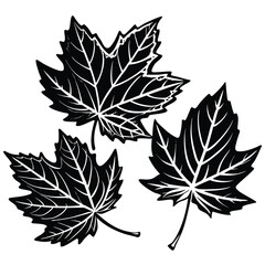 trio of orange maple leaves fallen.eps