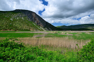 Reed zone at Small Prespa Lake in Albania // Schilfzone am Kleinen Prespa-See in Albanien