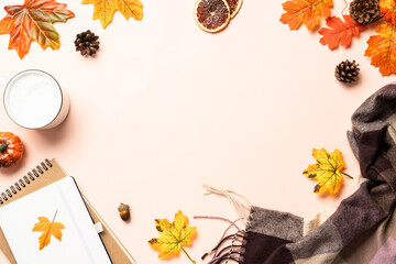 Cozy autumn flat lay background on white.