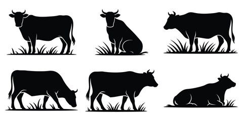 Agricultural and Veterinary Graphics