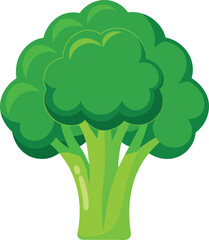 Detailed Illustration of a Single Broccoli Head vegetable