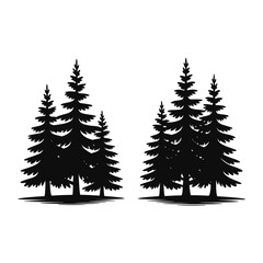 Silhouette of a dense evergreen forest with tall pine trees on a white background