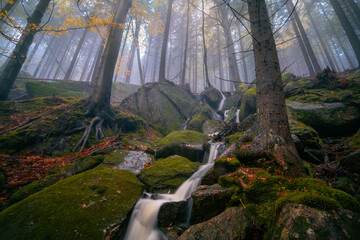 Fantasy and dark forest during a foggy morning with the best mystic atmosphere in the north of Bohemia, in Jizera mountains. View like from a fairy tale with pure water rivers and magic waterfalls.