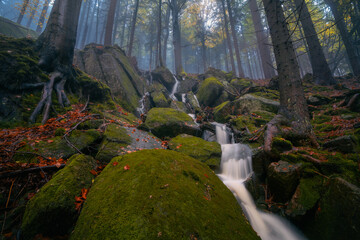 Fantasy and dark forest during a foggy morning with the best mystic atmosphere in the north of Bohemia, in Jizera mountains. View like from a fairy tale with pure water rivers and magic waterfalls.