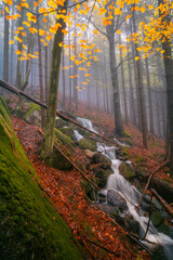 Fantasy and dark forest during a foggy morning with the best mystic atmosphere in the north of Bohemia, in Jizera mountains. View like from a fairy tale with pure water rivers and magic waterfalls.