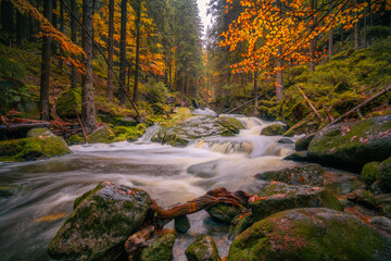 Fantasy and dark forest during a foggy morning with the best mystic atmosphere in the north of Bohemia, in Jizera mountains. View like from a fairy tale with pure water rivers and magic waterfalls.