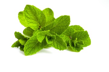 Bright green mint sprigs displayed neatly on white.