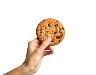 Hand holding a chocolate chip cookie isolated on transparent background
