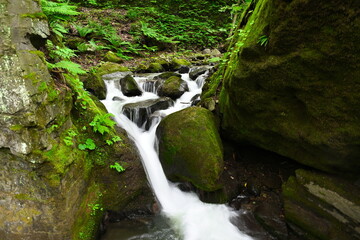 奥入瀬渓谷（青森県）