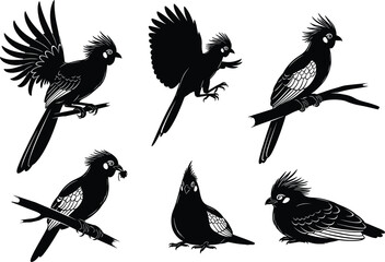 Black bird silhouette set, six different crested birds sitting and flying on branches, isolated vector illustration, wildlife design, nature art collection, white background