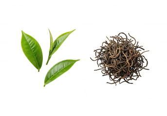 Fototapeta premium Green leaves dried tea herbal isolated on a transparent background