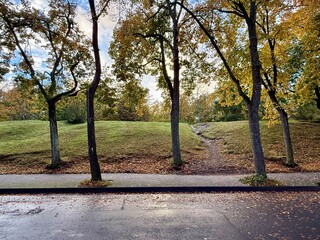 Autumn park scene with trees along a wet pathway and a grassy hill with a narrow dirt trail leading...