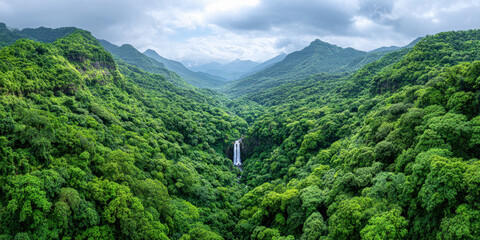 Wide landscape of lush green tropical rainforest with waterfall in valley under cloudy sky creating peaceful atmosphere