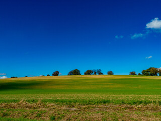 Baumgrundstück im Herbst