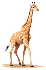 Obraz premium PNG Giraffe animal wildlife mammal.