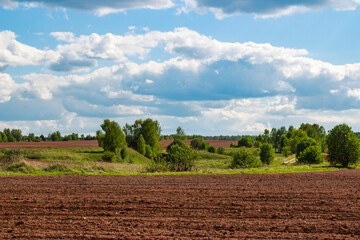 Obraz premium Freshly tilled fertile land stretches under a vast sky adorned with fluffy clouds. A distant line of trees and green hills adds a serene rural vibe