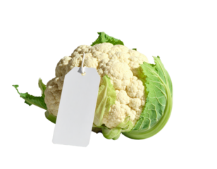 White label on caulide head observation of white label situated directly on head of caulide plant structure