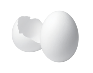 Egg with hole unusual egg featuring distinct hole in its shell interior visible through opening